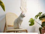 Tapestry Cotton Thread Hand-Woven Hanging Decoration Wall Hanging Decoration - Image 3